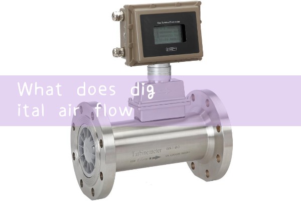 digital air flow meter|magnetic flow meter